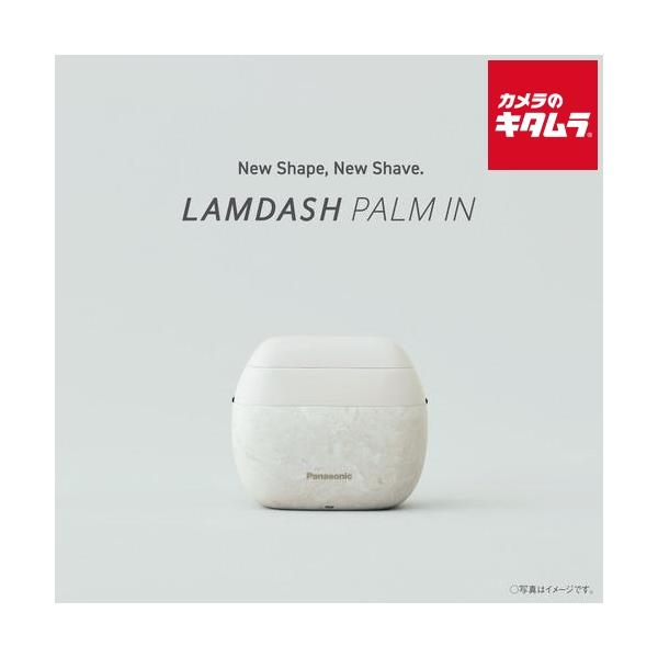 Panasonic パナソニック ラムダッシュ パームイン ES-PV6A-W マーブル