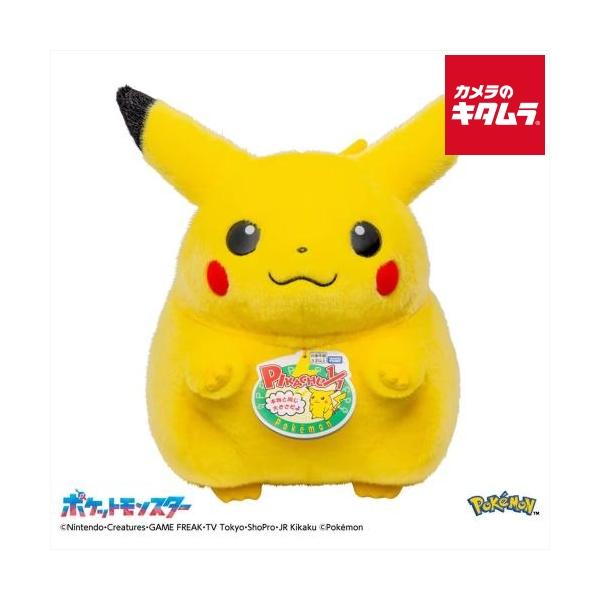 タカラトミー（TAKARA TOMY） ポケットモンスター ポケモン30周年記念