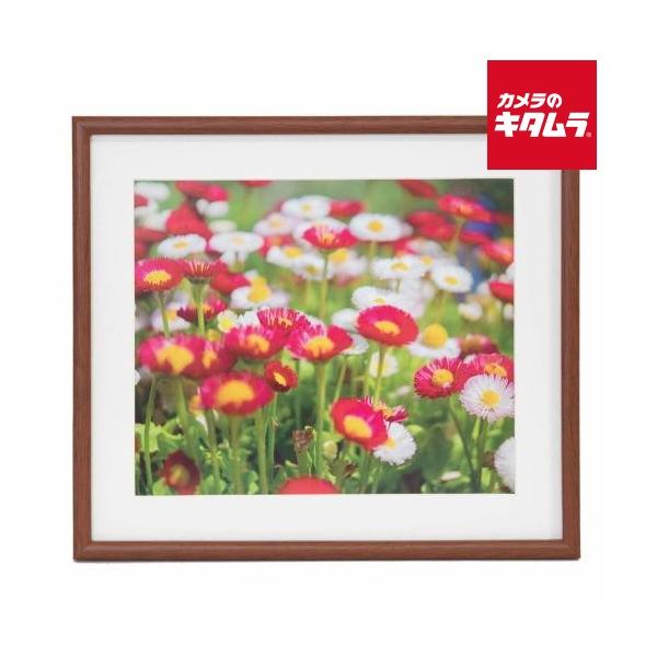 フジカラー 木製額 M21 ブラウン 4切 : カメラのキタムラヤフー店