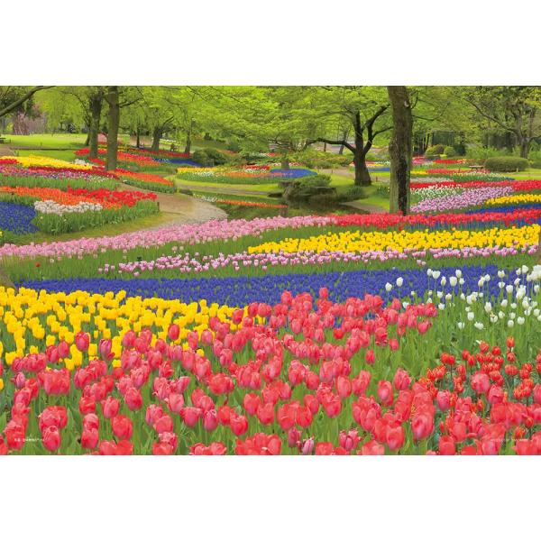 やのまん(Yanoman) 【日本製】108ピース ジグソーパズル ラージピース 日本風景 花咲く昭和記念公園 東京(26x38cm) 01-2090