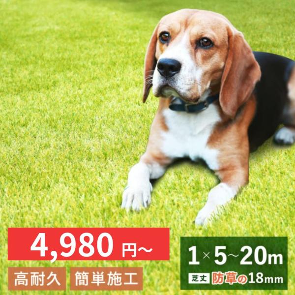 「FIFA公認生産工場」 人工芝 防草タイプ リアル人工芝 オークモント1m×5m 〜20m 芝丈18mm ピン ロール 芝生 ガーデニング ベランダ テラス バルコニー 庭 人工芝生 ペット サッカー 水はけ ロール カット オールシーズ...