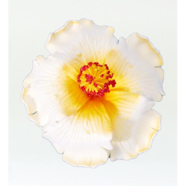 ハイビスカス ヘアクリップは大きさも手頃で、髪に留めてご使用できます。ホイケにも練習のアクセントにも使用できます。 （小物・アクセサリー・グッズ等 2個以上のご注文の場合、梱包はまとめさせていただきます。）※手作りですので１つ１つ多少違いが...