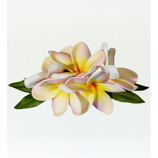 フラダンス 5連プルメリア ヘアクリップ イエロー ピンク 1347ypi 1347ypi Emika 通販 Yahoo ショッピング