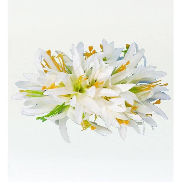 スパイダーリリーのヘアクリップは大きさもあり舞台等でおすすめです。ホイケにも練習のアクセントにも使用できます。 （小物・アクセサリー・グッズ等 2個以上のご注文の場合、梱包はまとめさせていただきます。）※手作りですので１つ１つ多少違いがあり...