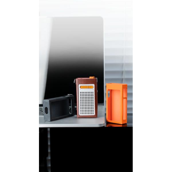FIIO NEST-RR13 FIO-NEST-RR13 専用ケース
