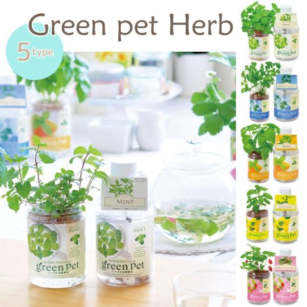 Green Pet Herb 育てるグリーンペットハーブ 全5種 ミント イタリアンパセリ バジル レモンバーム ワイルドストロベリー Gd444 栽培キット Buyee Buyee Japanese Proxy Service Buy From Japan Bot Online