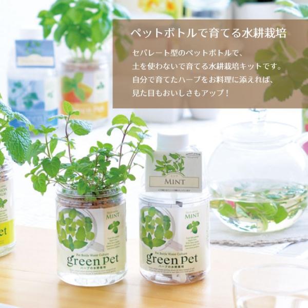 Green Pet Herb 育てるグリーンペットハーブ 全5種 ミント イタリアンパセリ バジル レモンバーム ワイルドストロベリー Gd444 栽培キット Buyee Buyee Japanese Proxy Service Buy From Japan Bot Online