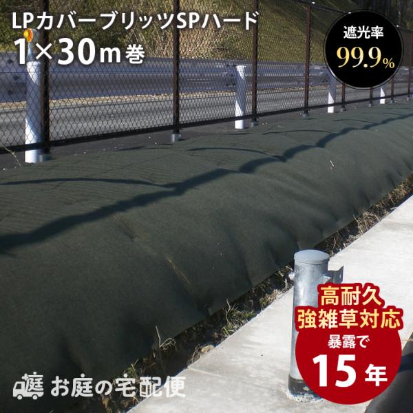 emiook_sr10330402
