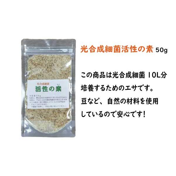 光合成細菌培基2L 10本 光合成細菌の培基 2L | 光合成細菌 | 静楽庵