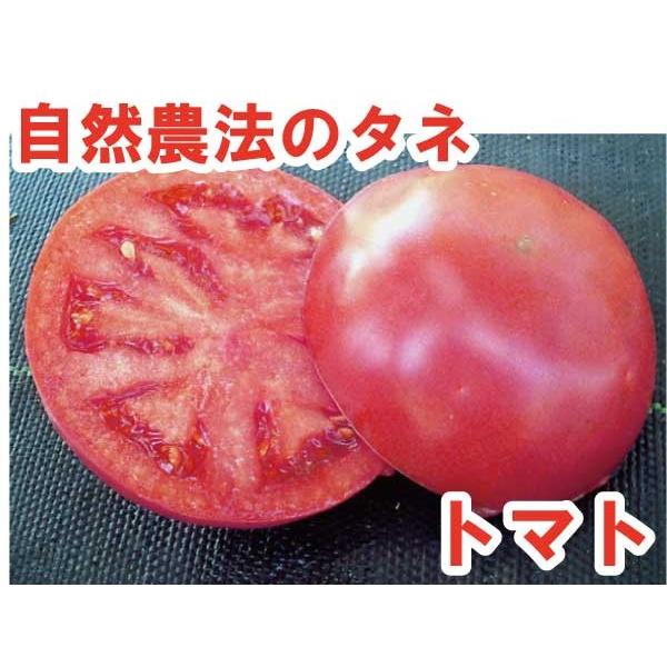 トマト 妙紅（みょうこう） 小袋〈10粒〉 大玉トマト 自然農法種子 無