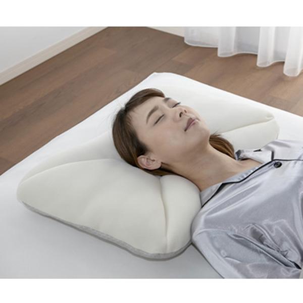 フランスベッド（FRANCEBED） 低反発枕 ルナモンドピロー ロータイプ