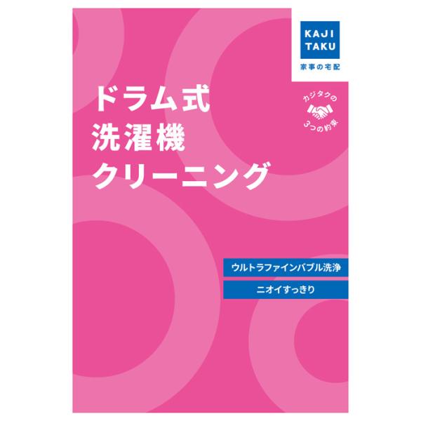 カジタク 洗濯機クリーニング ドラム式 cleaning-29 家事代行 爆買