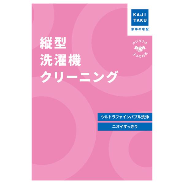 カジタク 洗濯機クリーニング 縦型 cleaning-30 家事代行 爆買