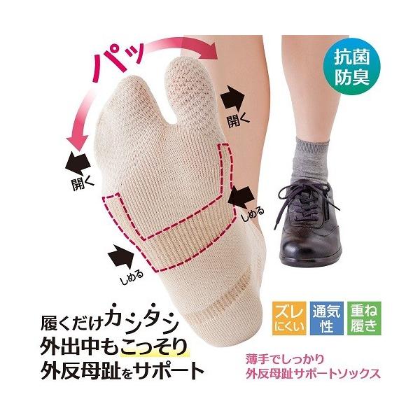 ł OT|[g \bNX (1g) C XgbLO T|[^[  L  ֐ e[sO  [(|Xg)z