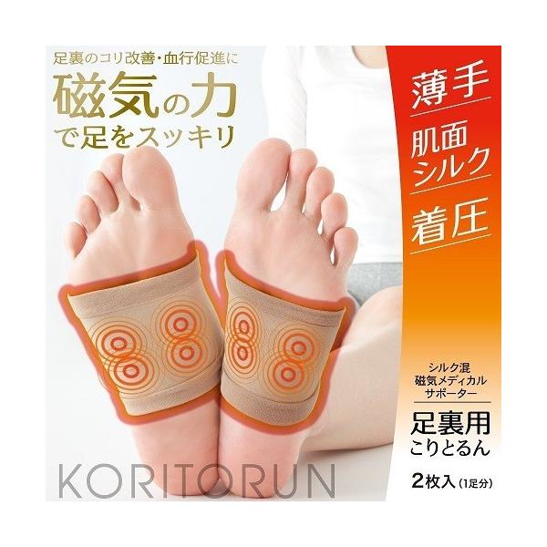 IVN C fBJ T|[^[ p Ƃ(2E1g) [֔z C Ê Â P s i  ɂ R