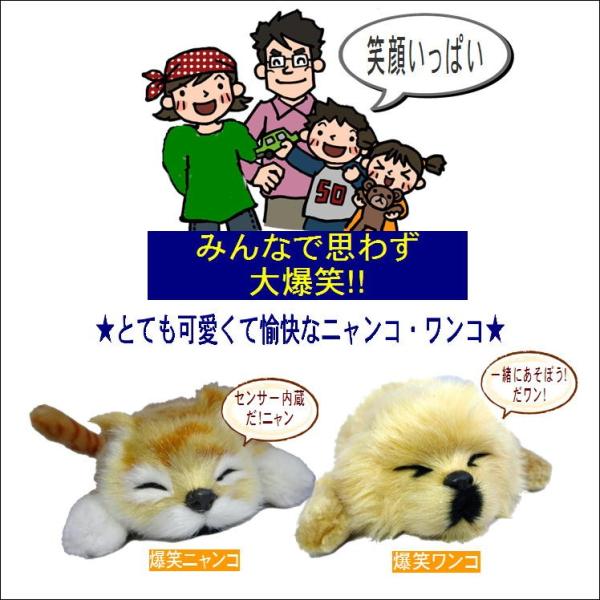 笑い転げる犬 大爆笑 わんわん おもちゃ ペット ぬいぐるみ ワンコ かわいい 爆笑 プレゼント ギフト 癒し プレゼント Buyee Buyee 提供一站式最全面最专业现地yahoo Japan拍卖代bid代拍代购服务 Bot Online