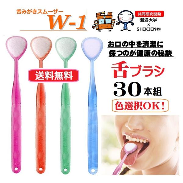 FI uV 30{g W-1(_u) 30{Zbg N[i[ 㖁 L\h L΍   ̏L\h 