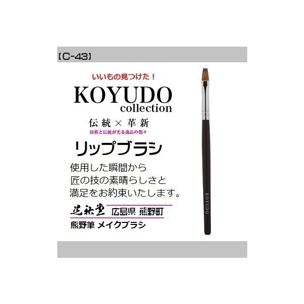 FM WS bvuV C-43 `JWAV[Y` CNuV ڌ  @ WS `H| `[N zCgf[ [֔z