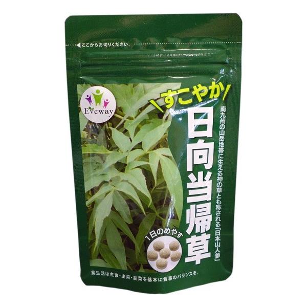 日向当帰草（ヒウガトウキ） 宮崎県 高千穂 日本山人参 薬草 健康 身体 貴重 植物