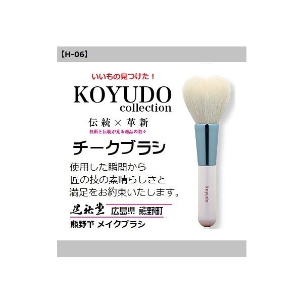 FM WS zCgf[ n[g^ `[NuV H-06 `H| ϕM CNuV ڌ  @ WS `[NuV [֔z