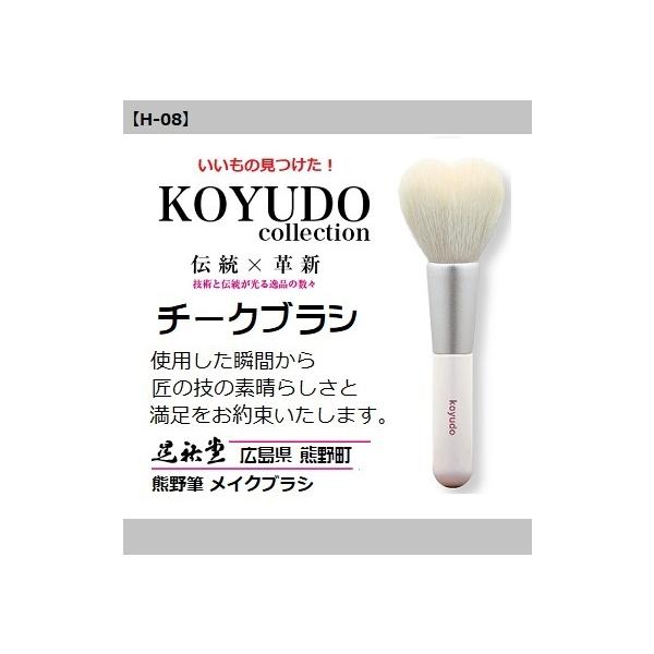 FM zCgf[ n[g^ `[NuV H-08 ϕM `H| CNuV ڌ  @ WS `[NuV [֔z