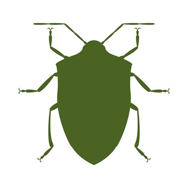 網戸や洗濯物に卵を産み付けないようにしっかりガード カメムシ 寄せ付けない カメムシシャット 害虫 忌避 駆除 虫除け 不快害虫 日本製 代購幫