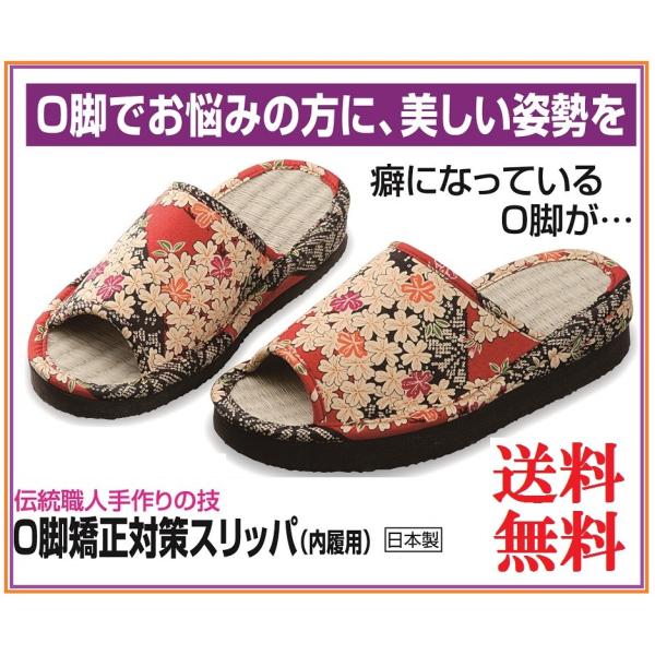 Or␳΍Xbp Or ␳ ΍  r ׂ Zb^      El s p N  {