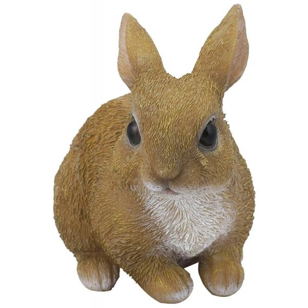 ̂肤 I[ig K[f CeA SV-5967    K[f  IuWF u CeA