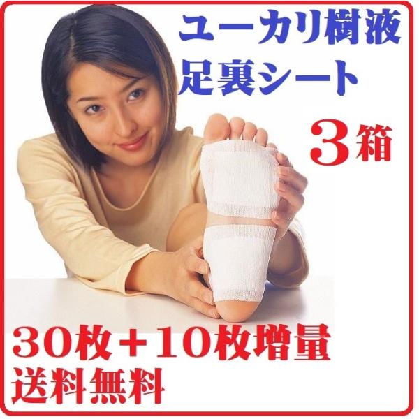 3個組 アガリクス茸配合 ユーカリ 樹液 足裏 シート ツボ 健康 凝り 痛み むくみ 改善 家事 スポーツ 足裏 樹液シート 日本製 送料無料