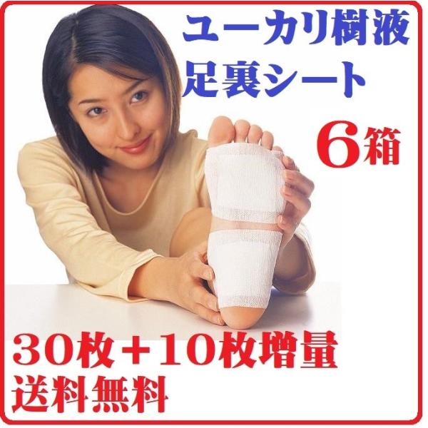 6個組 アガリクス茸配合 ユーカリ 樹液 足裏 シート ツボ 健康 凝り 痛み むくみ 改善 家事 スポーツ 足裏 樹液シート 日本製