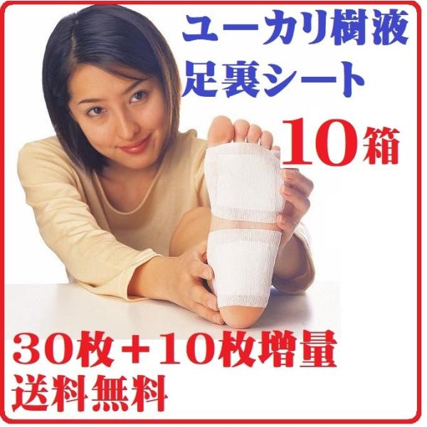 10個組 アガリクス茸配合 ユーカリ 樹液 足裏 シート ツボ 健康 凝り 痛み むくみ 改善 家事 スポーツ 足裏 樹液シート 日本製