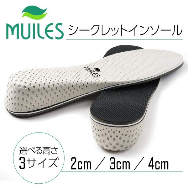インソール シークレット 身長アップ シークレットインソール 中敷き 22.5cm〜27.0cm 超軽量 メンズ レディース 選べる高さサイズ【2cm/3cm/4cm】