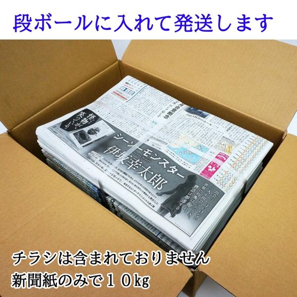 新聞紙未使用品10kg 梱包材梱包資材緩衝材にペットシート古新聞紙未使用新聞紙 Buyee 日本代购平台 产品购物网站大全 Buyee一站式代购