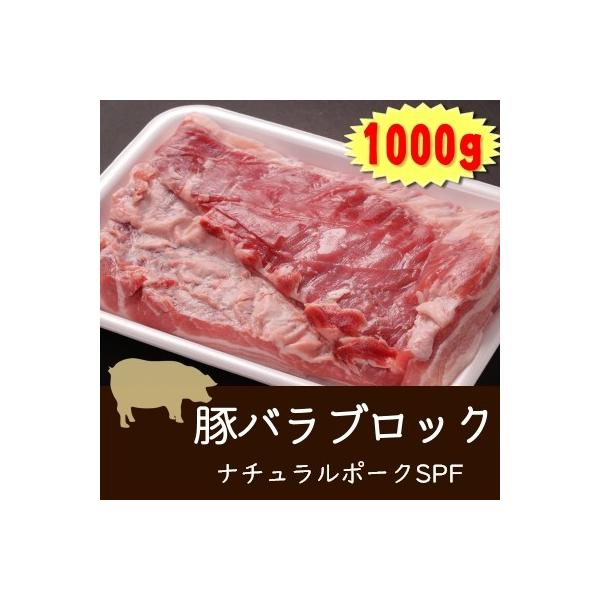アメリカ産 カナダ産 豚バラブロック 1000g Buyee Buyee 日本の通販商品 オークションの代理入札 代理購入