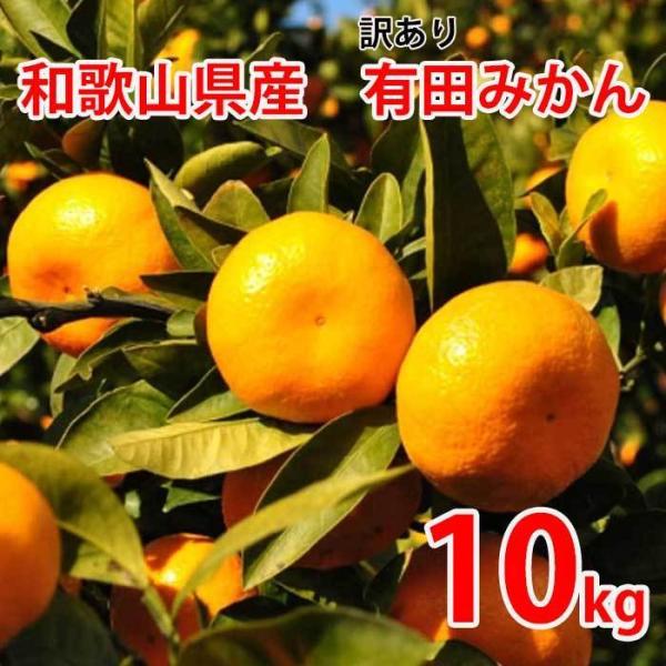 有田みかん 10kgの人気商品 通販 価格比較 価格 Com