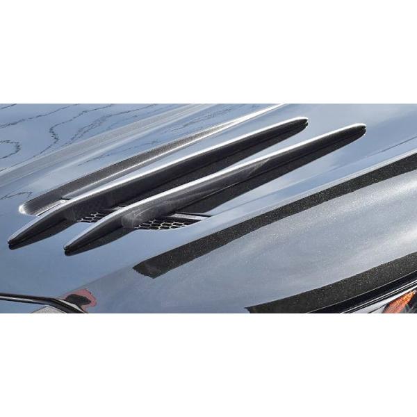 yM'sz g^ 80 nA[ MXUA8 AXUH8 O (2020y-) BEYOND {lbgtB rh FRP h GA p[c 80n HARRIER JX^