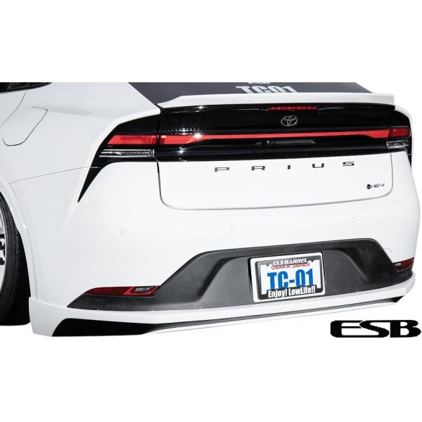 emuzu-international_esb-