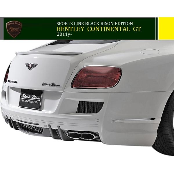 yM'szxg[ R`l^GTi2011y-jWALD Black Bison Aop[X|C[^^FRP @h