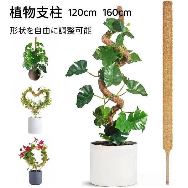ヘゴ支柱 モスポール 観葉植物用 つる植物 誘引 支柱 モンステラ・フィロデンドロン対応 120/160cm