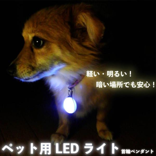 犬 首輪 ライト キーホルダー オレンジ LED セーフティライト 安全 散歩