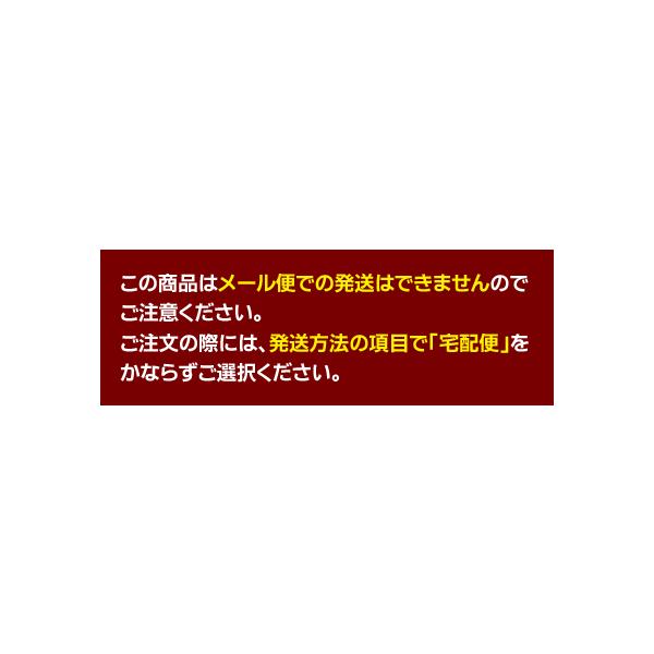 ���[���֕s�� �t�@�[�o�[�J�X�e�� �����X�P�b�`�u�b�N ����24�� F4�T�C�Y ������ ���i�摜3