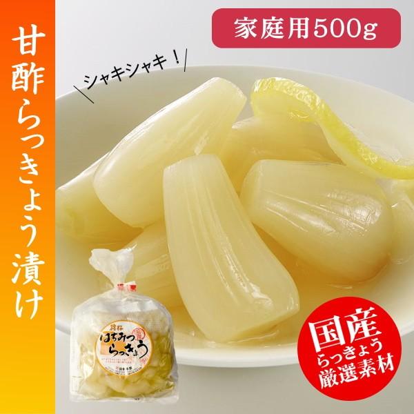 らっきょう 500g」の人気商品一覧 | 安い商品を通販サイトから