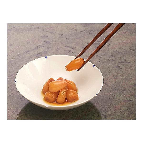 ݖ傤500giƒpj@[ݖ̔ˁEݖgp̍Y傤Ђ]