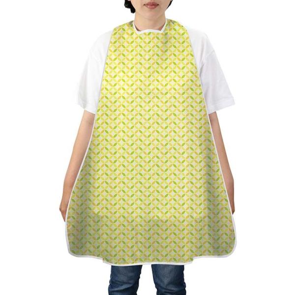 hHGv \ 1y䂤pPbgΉz