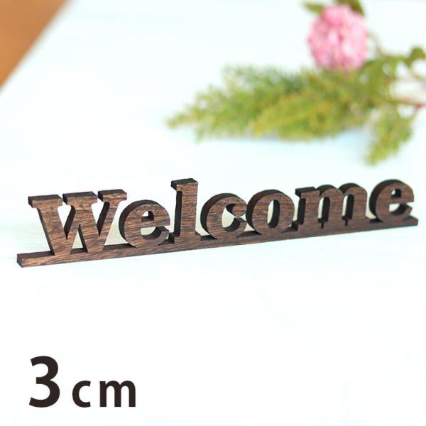 3cm 9mm ؂蔲v[g At@xbg啶E ؐ AVe{ y䂤pPbgΉz