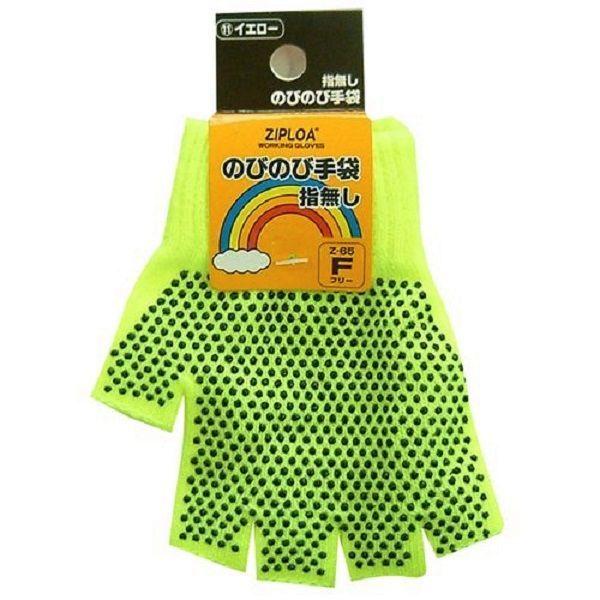 [R[RXM] GLADIATOR ̂т̂ю w؂  Z-65CG[e