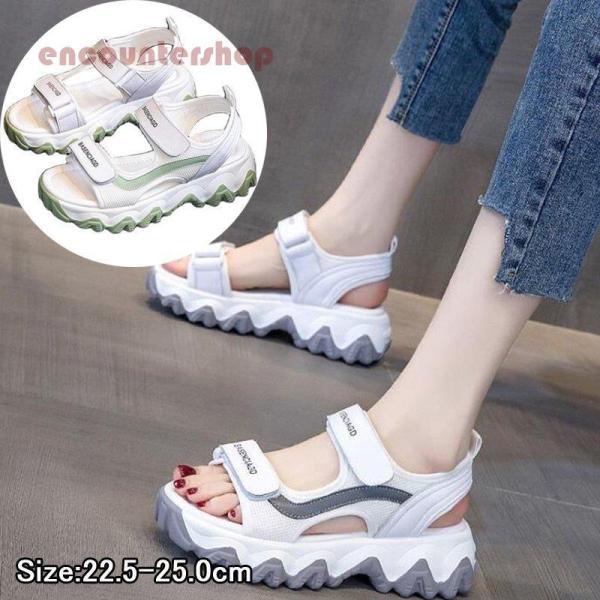 X|[cT_ fB[X r ʋC T_ ₷  JWA AEghA V[Y  RtH[gT_  K Xj[J[T_