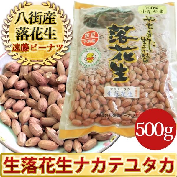 2024年度産 未調理なま落花生(ナカテユタカ)二等500g 千葉県八街 2024年度産 未調理なま落花生(ナカテユタカ)二等500g 千葉県八街