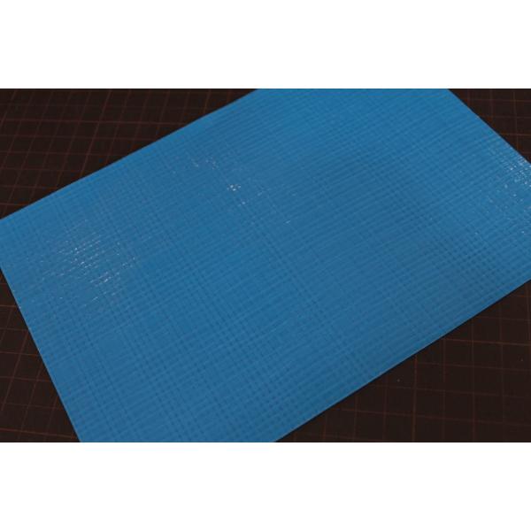 �����H�Ɓ@���Y�@3000�@�^�[�s�[�V�[�g�@10X10m�@�P�P�[�X�@2����