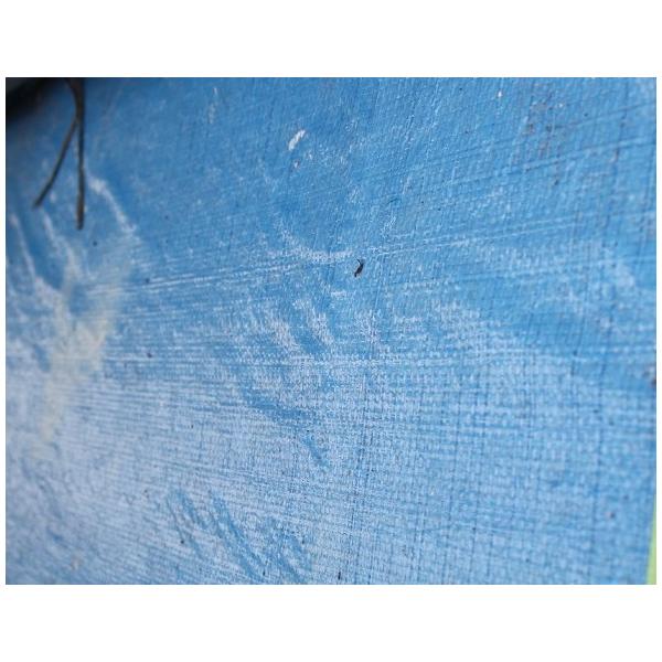 �A���@�y�ʃ^�C�v�@�u���[�V�[�g�@10x10m�@�P�P�[�X�@2����